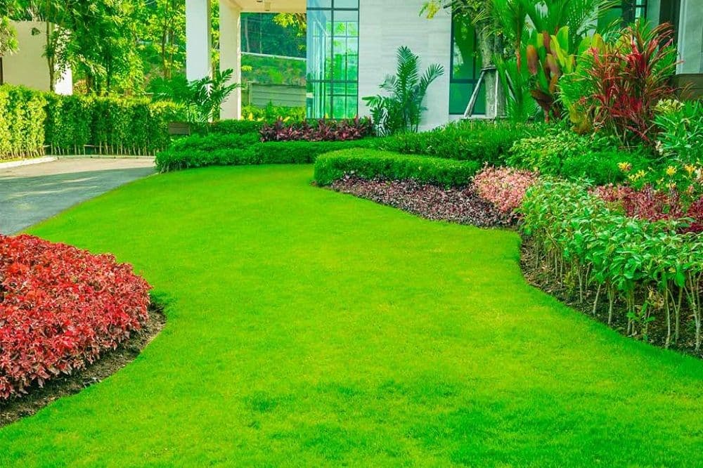 GARDEN GRASS INSTALLATION